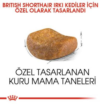 Royal Canin British Shorthair İçin Özel Yetişkin Kedi Maması 2 kg - 4