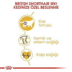 Royal Canin British Shorthair İçin Özel Yetişkin Kedi Maması 2 kg - 5