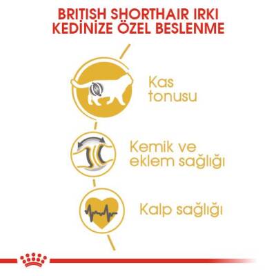 Royal Canin British Shorthair İçin Özel Yetişkin Kedi Maması 2 kg - 5