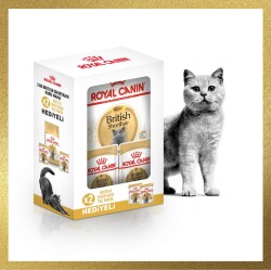 Royal Canin British Shorthair Yetişkin Kedi Maması 2 kg + 2 Adet Pouch Hediyeli - Royal Canin