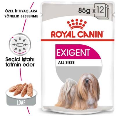 Royal Canin CCN Exigent Seçici Köpek Konservesi 85 gr - 4
