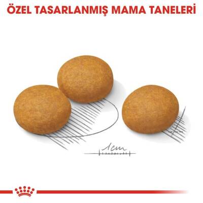 Royal Canin CCN Medium Dermacomfort Köpek Maması 12 kg - 3