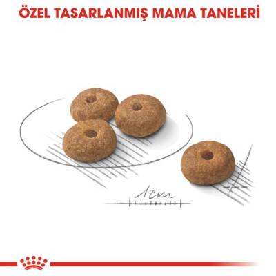 Royal Canin CCN Mini Sterilised Kısırlaştırılmış Yetişkin Köpek Maması 3 kg - 3