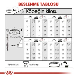 Royal Canin CCN Mini Sterilised Kısırlaştırılmış Yetişkin Köpek Maması 3 kg - 4