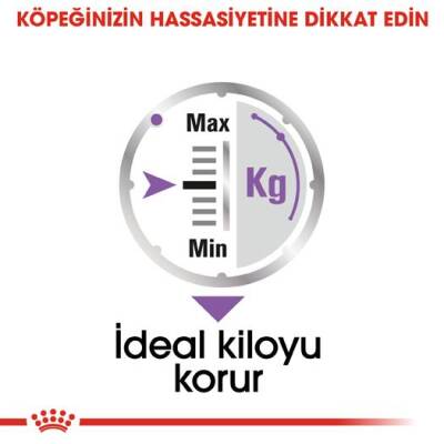Royal Canin CCN Exigent Pouch Kısırlaştırılmış Yetişkin Köpek Konservesi 85 gr - 3