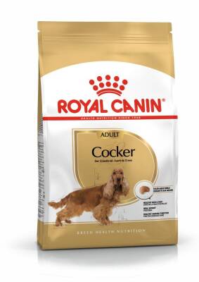 Royal Canin Cocker Adult Özel Irk Yetişkin Köpek Maması 3 kg - 1