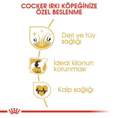 Royal Canin Cocker Adult Özel Irk Yetişkin Köpek Maması 3 kg - 4
