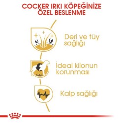 Royal Canin Cocker Özel Irk Yetişkin Köpek Maması 3 kg - 4