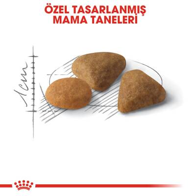Royal Canin Exigent 35/30 Seçici Kedilere Özel Mama 2 kg - 4
