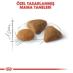 Royal Canin Exigent 35/30 Seçici Kedilere Özel Mama 4 kg - 4