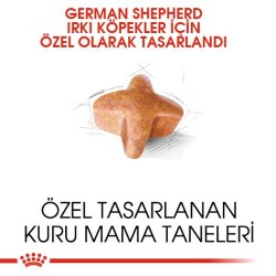Royal Canin German Shepherd Adult Alman Kurduna Özel Yetişkin Köpek Maması 11 kg - 2