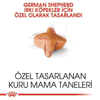 Royal Canin German Shepherd Adult Alman Kurduna Özel Yetişkin Köpek Maması 11 kg - 2