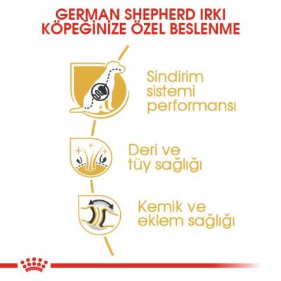 Royal Canin German Shepherd Adult Alman Kurduna Özel Yetişkin Köpek Maması 11 kg - 3