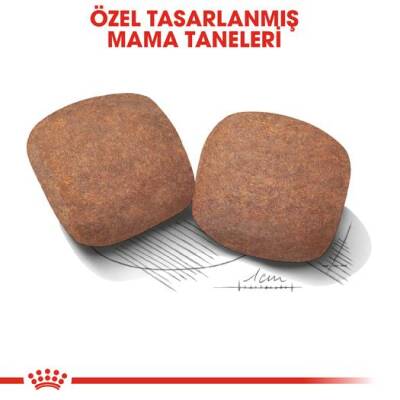 Royal Canin Giant Adult Dev Irk Yetişkin Köpek Maması 15 kg - 4