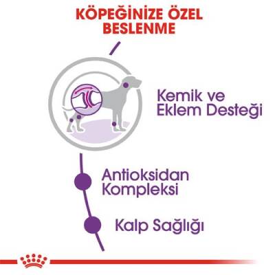 Royal Canin Giant Dev Irk Yetişkin Köpek Maması 15 kg - 3