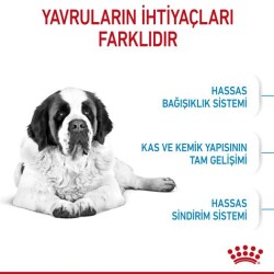 Royal Canin Giant Junior Dev Irk Yavru Köpek Maması 15 kg - 2