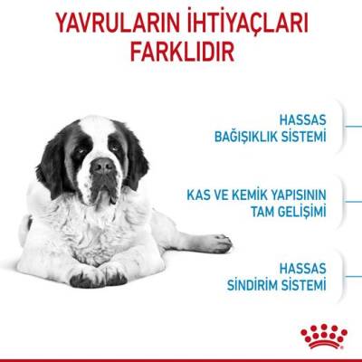 Royal Canin Giant Junior Dev Irk Yavru Köpek Maması 15 kg - 2