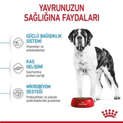 Royal Canin Giant Junior Dev Irk Yavru Köpek Maması 15 kg - 3