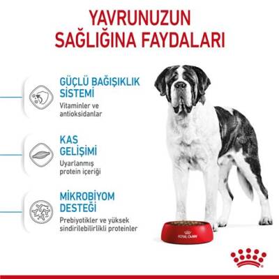 Royal Canin Giant Junior Dev Irk Yavru Köpek Maması 15 kg - 3