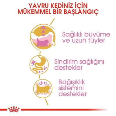 Royal Canin Kitten Persian 32 Yavru Iran Kedilerine Özel Mama 2 kg - 2