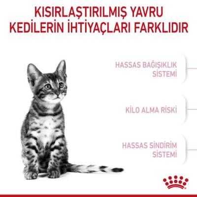 Royal Canin Kitten Sterilised Kısır Yavru Maması 2 kg - 2