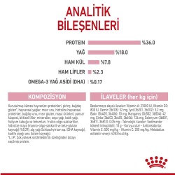 Royal Canin Kitten Yavru Kedi Maması 2 kg - 4
