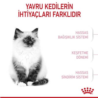 Royal Canin Kitten Yavru Kedi Maması 4 kg - 2