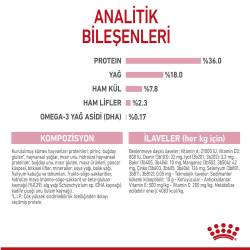 Royal Canin Kitten Yavru Kedi Maması 4 kg - 4