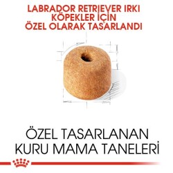 Royal Canin Labrador Retriever Köpek Maması 12 kg - 2