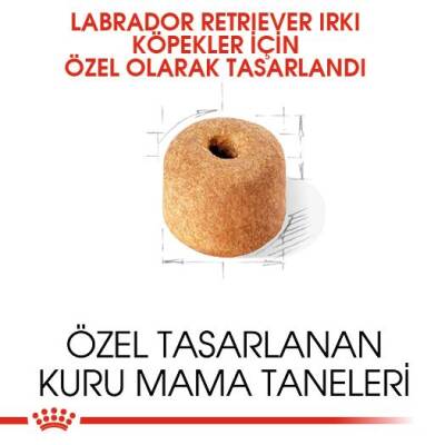 Royal Canin Labrador Retriever Köpek Maması 12 kg - 2