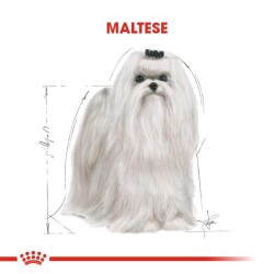 Royal Canin Maltese Terrier Adult Köpek Maması 1,5 kg - 3