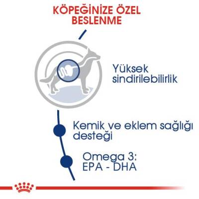 Royal Canin Maxi Adult Büyük Irk Yetişkin Köpek Maması 15 kg - 7