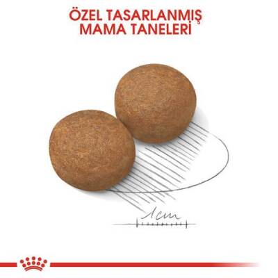 Royal Canin Maxi Adult Büyük Irk Yetişkin Köpek Maması 15 kg - 5