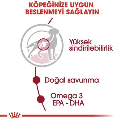 Royal Canin Medium Adult Orta Irk Yetişkin Köpekler İçin Parça Etli Yaş Mama 140 gr X 10 Adet - 4