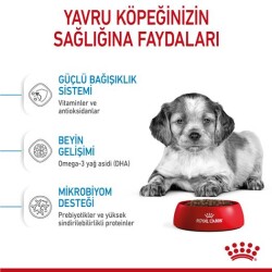 Royal Canin Medium Puppy Orta Irk Yavru Köpek Maması 15 kg - 3