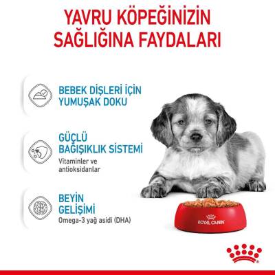 Royal Canin Medium Puppy Orta Irk Yavru Köpekler İçin Parça Etli Konserve Mama 140 gr - 4