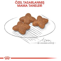 Royal Canin Mini Adult Ufak Irk Yetişkin Köpek Maması 2 kg - 2
