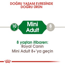 Royal Canin Mini Adult Ufak Irk Yetişkin Köpek Maması 2 kg - 3