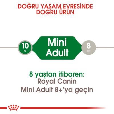 Royal Canin Mini Adult Ufak Irk Yetişkin Köpek Maması 2 kg - 3