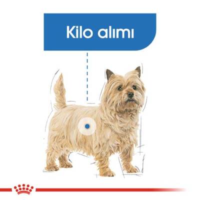 Royal Canin Mini Light Küçük Irk Köpekler İçin Diyet Mama 3 kg - 3