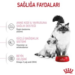 Royal Canin Mother & Baby Cat 34 Anne ve Yavru Kedi Maması 2 kg - 5