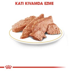Royal Canin Persian Yetişkin Kedi Konservesi 85 gr - 4