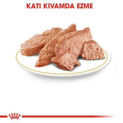 Royal Canin Persian Yetişkin Kedi Konservesi 85 gr X 12 Adet - 4