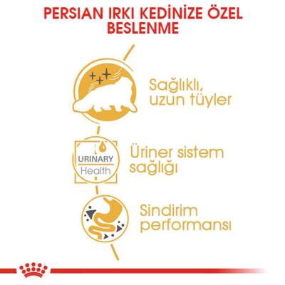 Royal Canin Persian Yetişkin Kedi Konservesi 85 gr X 12 Adet - 4