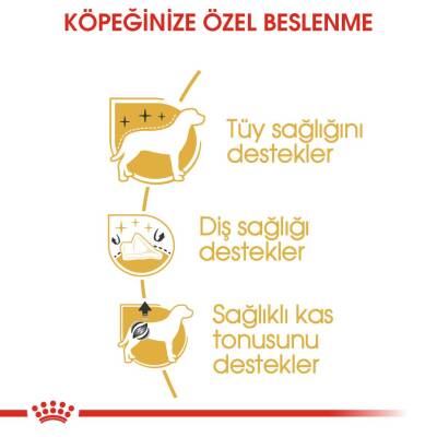 Royal Canin Poodle Adult Yetişkin Köpek Maması 3 kg - 2