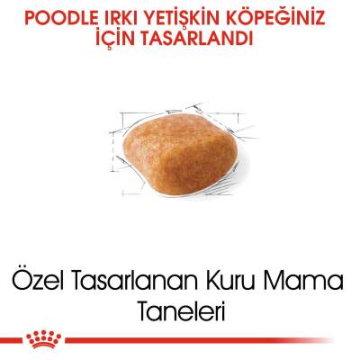 Royal Canin Poodle Adult Yetişkin Köpek Maması 3 kg - 3