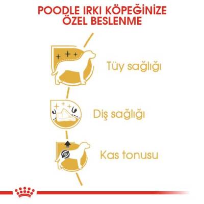 Royal Canin Poodle Adult Yetişkin Köpek Maması 3 kg - 5
