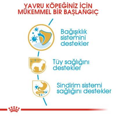 Royal Canin Poodle Junior Yavru Köpek Maması 3 kg - 4