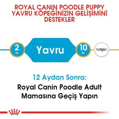 Royal Canin Poodle Junior Yavru Köpek Maması 3 kg - 5