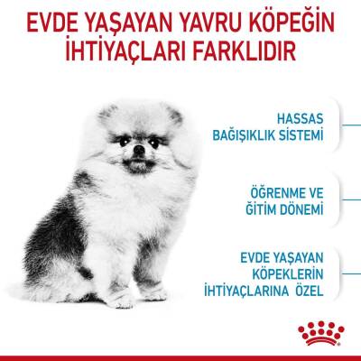 Royal Canin Puppy Mini Indoor Tavuklu Köpek Maması 1,5 kg - 2